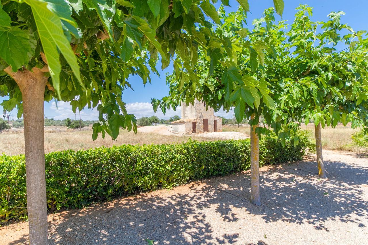 Holiday home Finca Loft Can Moreno Es Trenc *